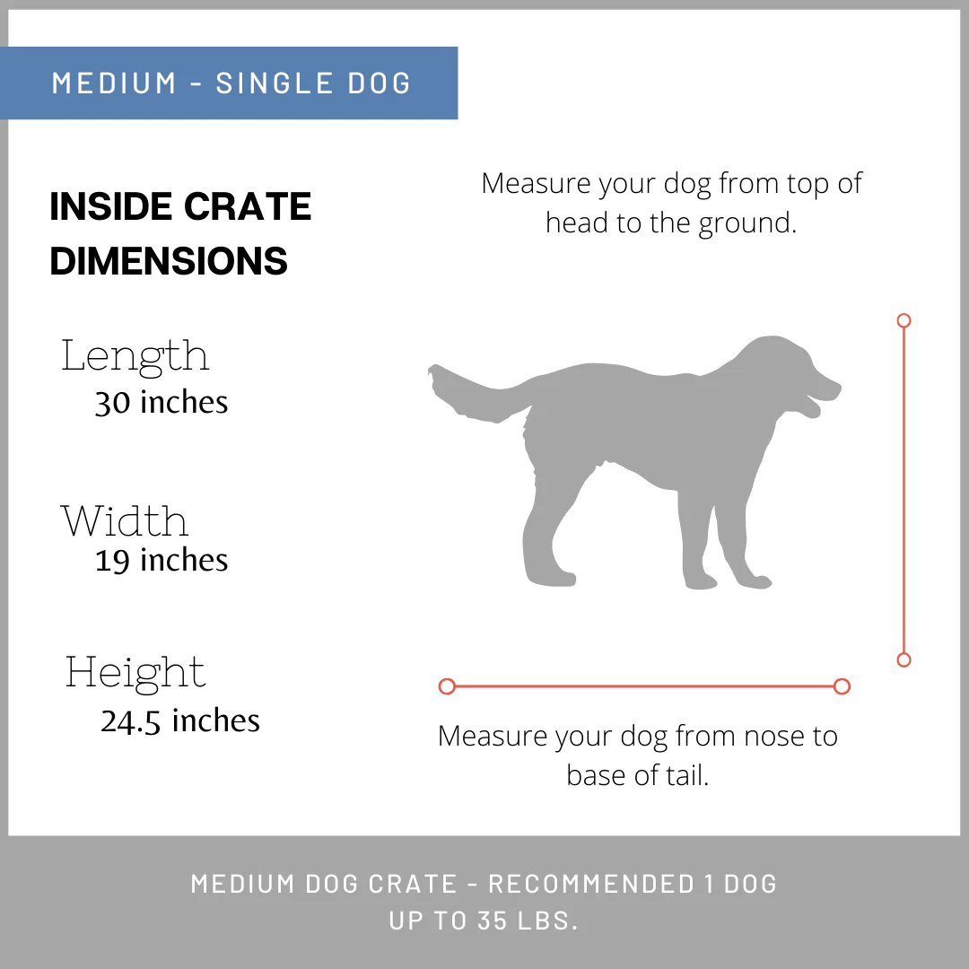 Standard Single Dog Kennel (Medium)